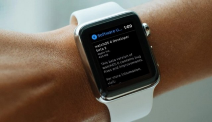 Beta 2 of watchOS 6: We can update the Apple Watch Directly