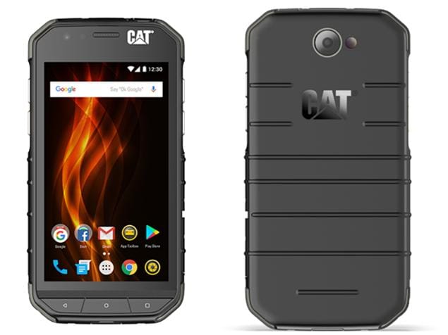 Cat S31