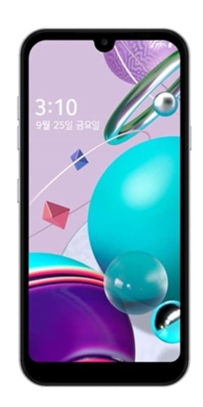 LG Q31